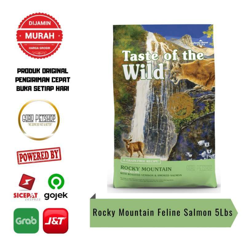 Totw rocky hot sale mountain