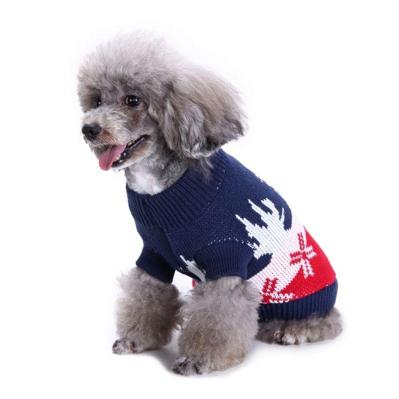 dog black turtleneck