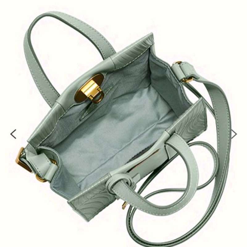 Fossil sage mini bag discount