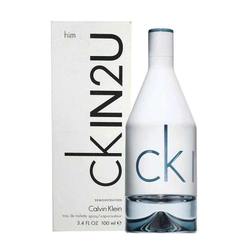 calvin klein edt 100ml