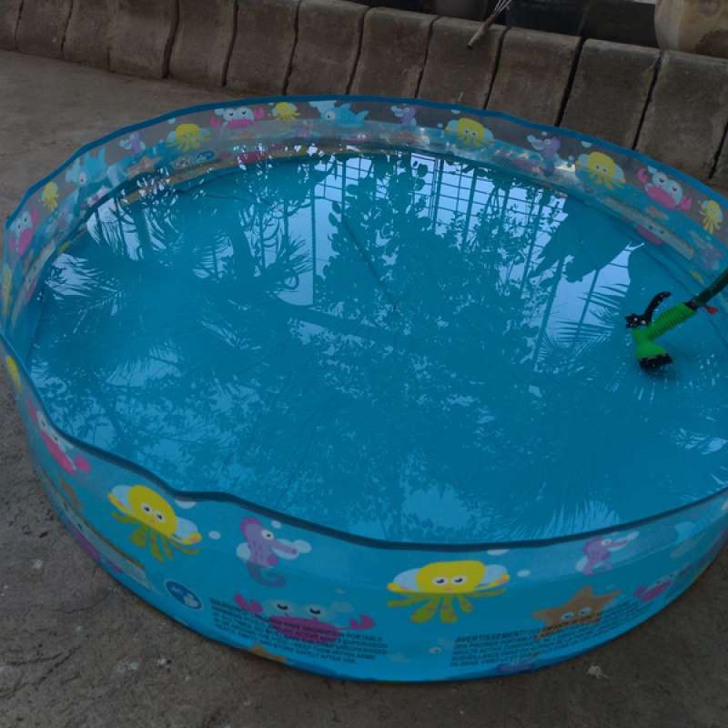 Jual Kolam Renang Bestway Tanpa Pompa 122 Cm No 55028 Kolam Renang Anak Online Oktober 2020 Blibli Com