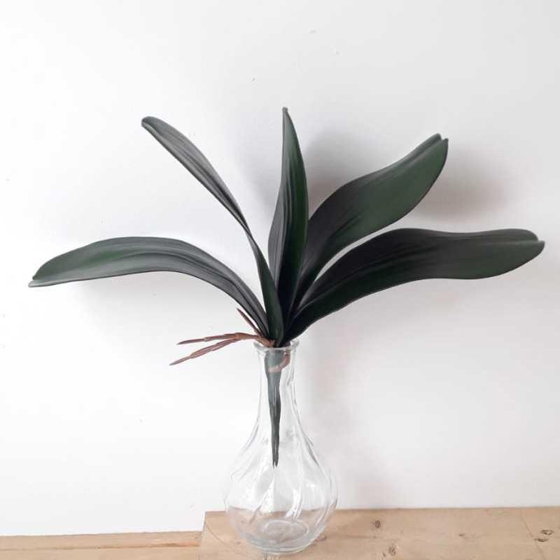 Jual Daun Satuan Artificial Anggrek Bulat L Online November 2020 Blibli