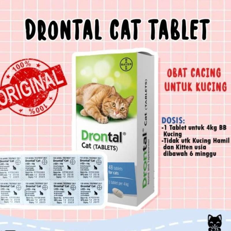Drontal untuk kitten cheap