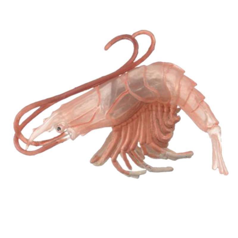Jual Lifelike Lobster Squid Toy Model Funny Toys Home Decor Animal Learning Di Er Homyl China Blibli - Lobster Home Decor Jual Lifelike Lobster Squid Toy Model Funny Toys Home Decor Animal Learning Di Er Homyl China Blibli - Lobster Home Decor