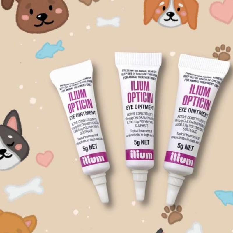 Ilium Opticin Obat Salep Antibiotik Mata Anjing dan Kucing