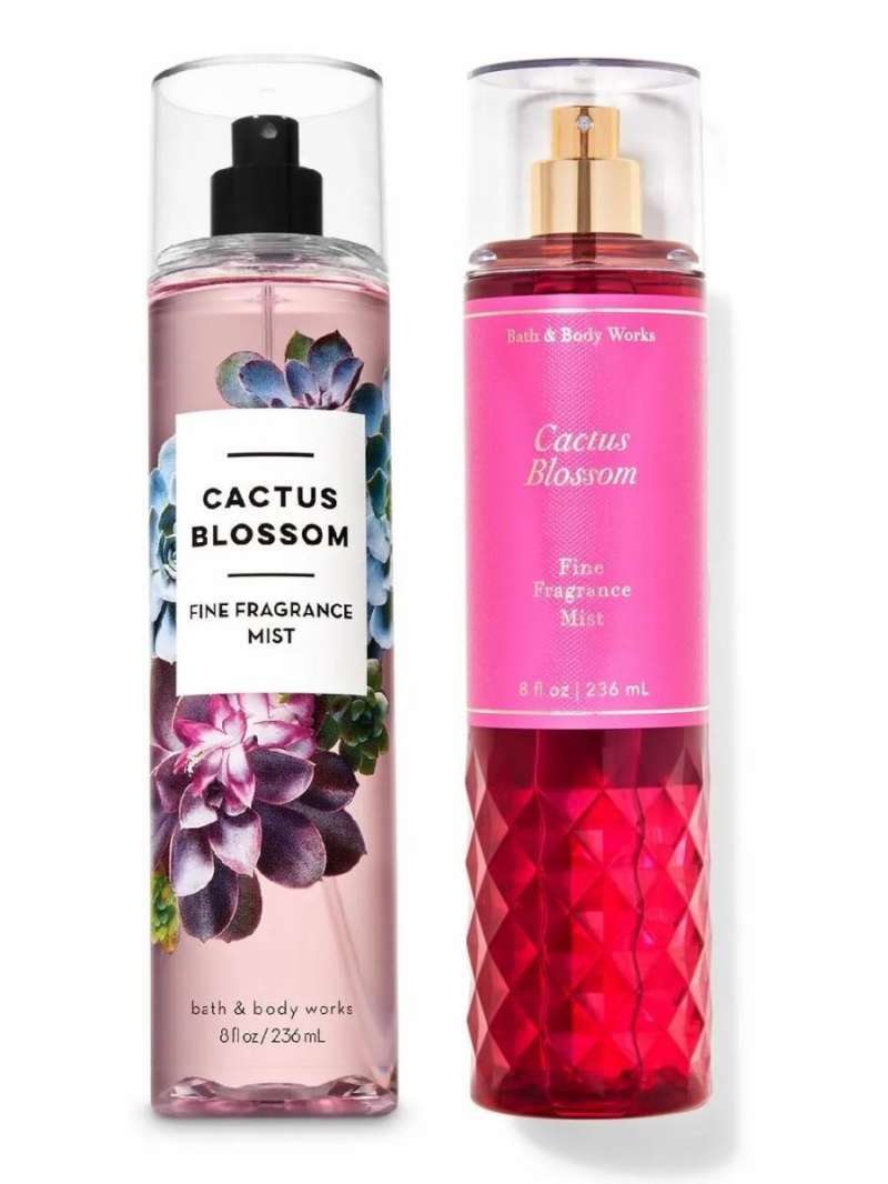 Cactus blossom fine deals fragrance mist