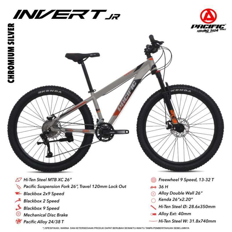 Pacific chromium top 20 inch bike