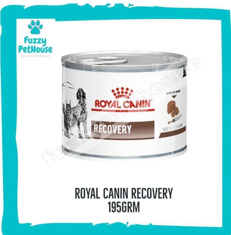 Royal canin recovery harga sale