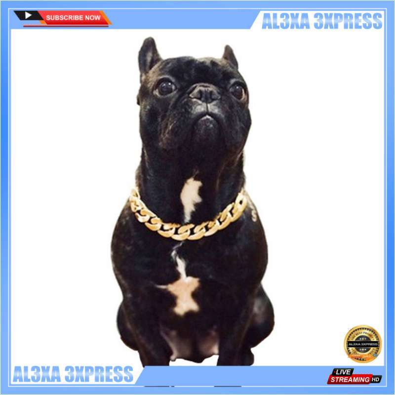 Promo Pet Dogs Silver And Gold Chain 