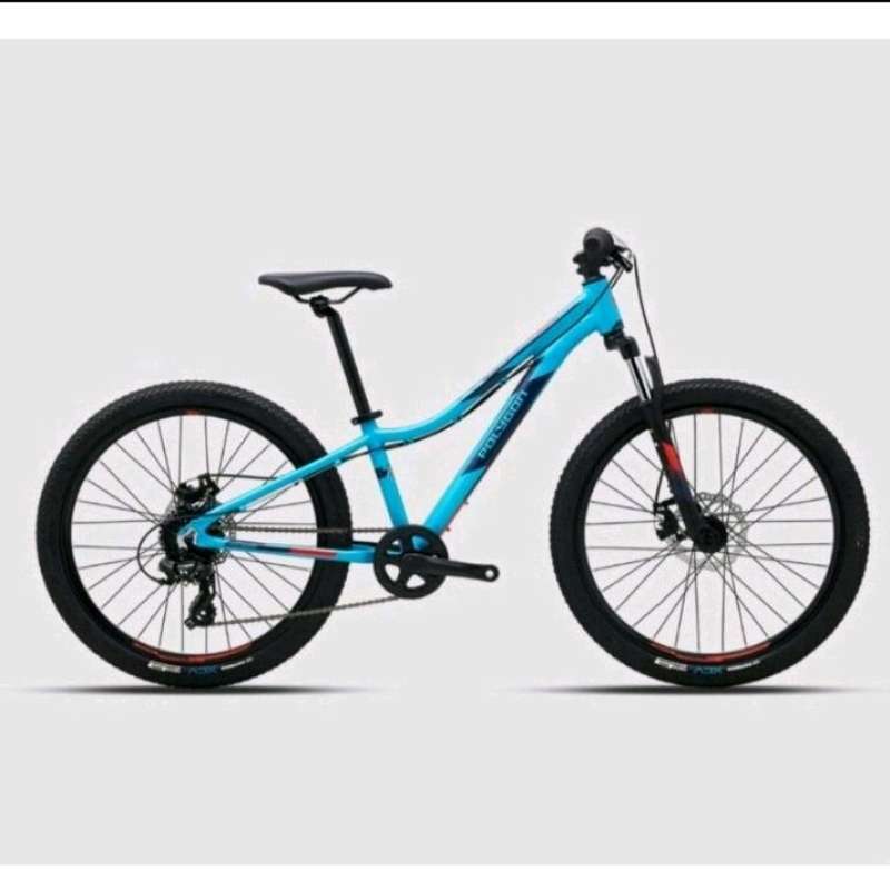 Jual Sepeda Polygon Relic 24 Original Model Terlengkap Harga Murah November 2024