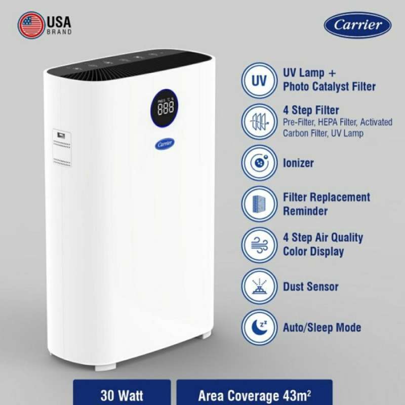 Carrier ionizer outlet