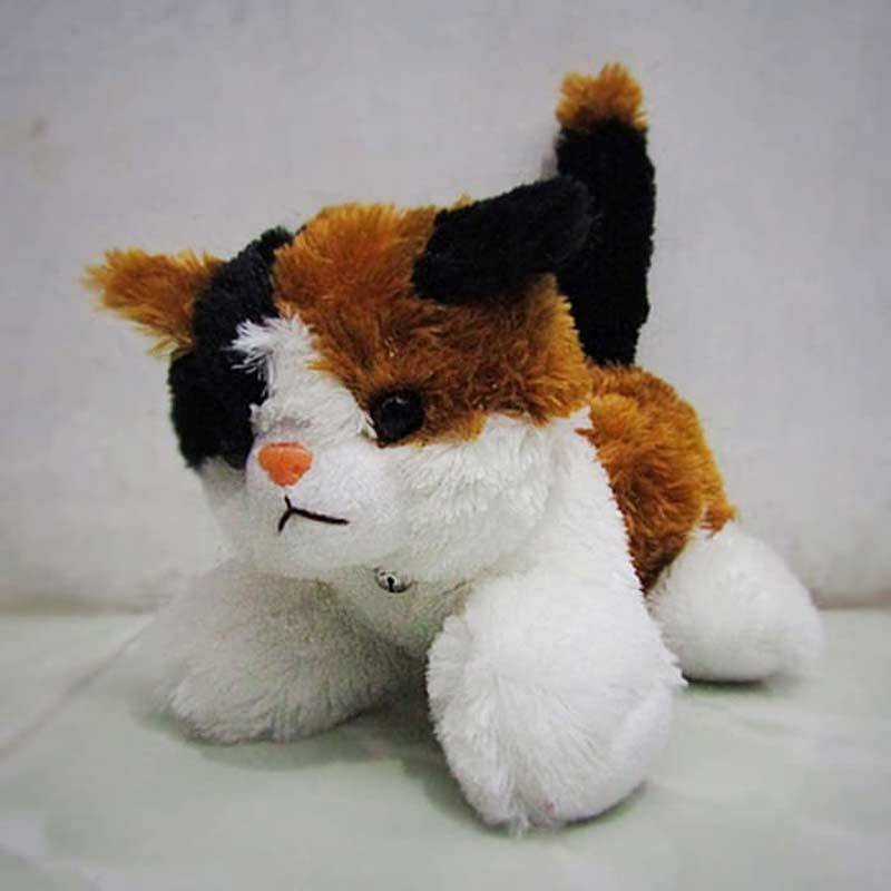 Jual Indo Solution Boneka Anak Kucing Lucu Online Oktober 2020 Blibli Com