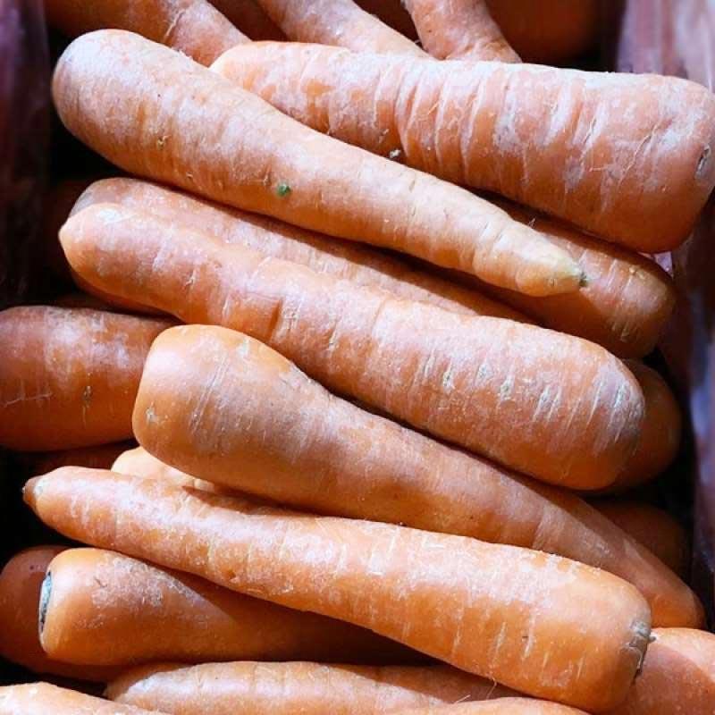 Jual Pasarbali Id Sayur Wortel Lokal 500 G Denpasar Online November 2020 Blibli Com