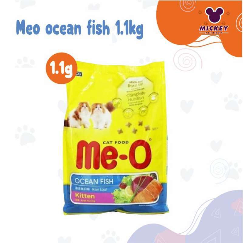 Meo kitten deals ocean fish