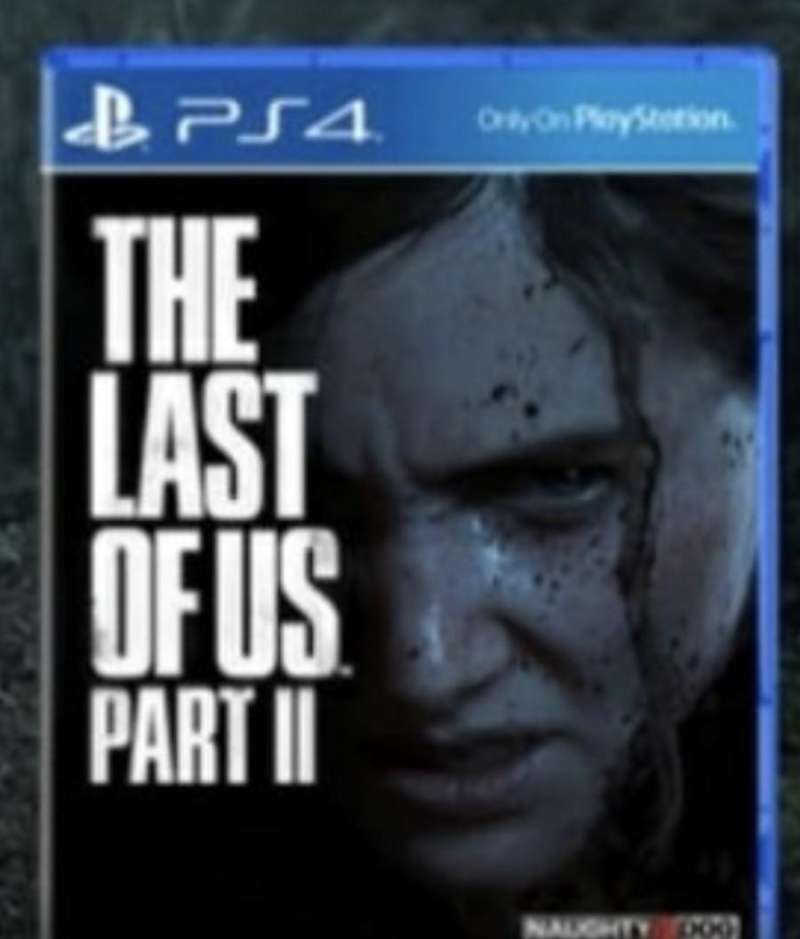 ps4 the last of us reg3
