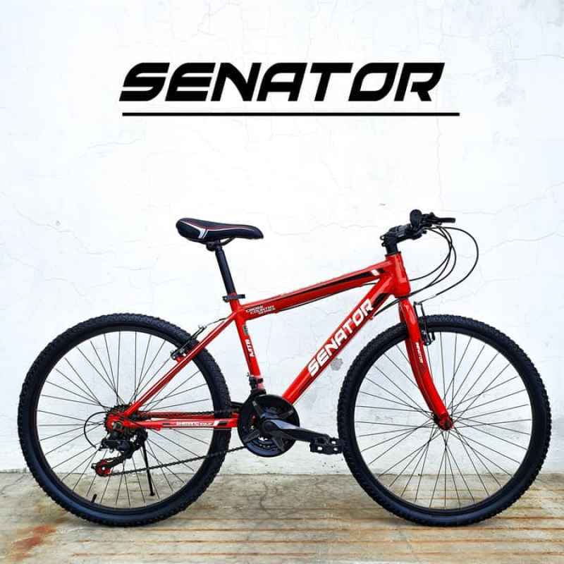 cross country bike tires