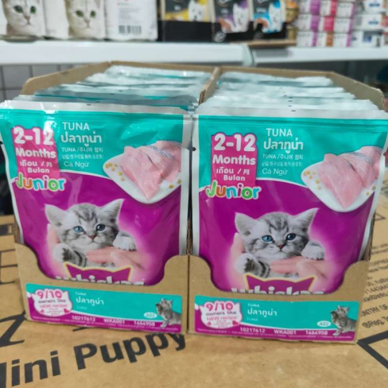 Whiskas junior shop tuna sachet