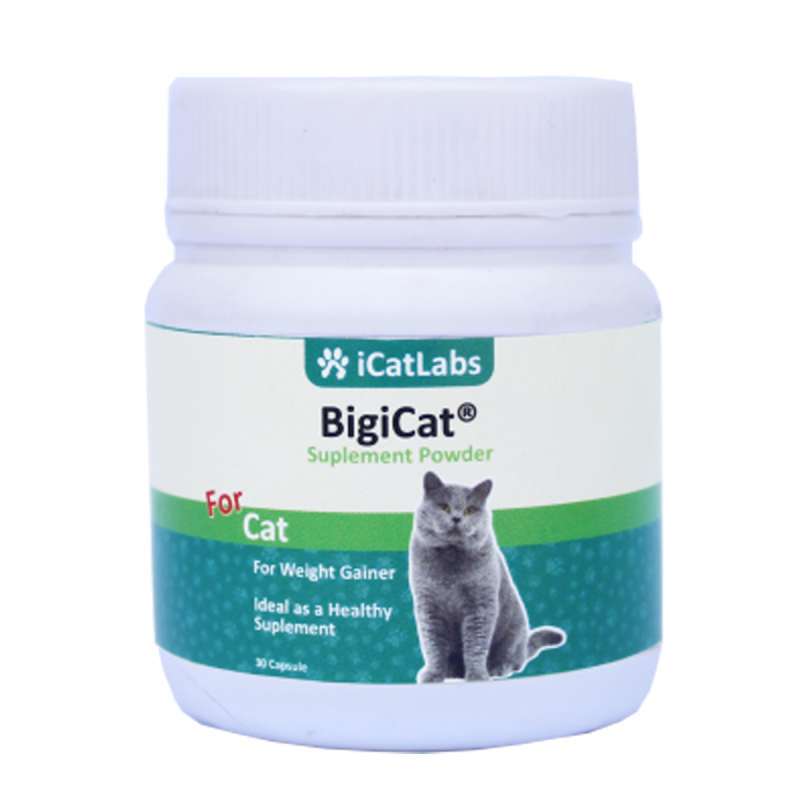 Jual Bigicat Penambah Berat Badan Kucing Suplemen Kucing Vitamin