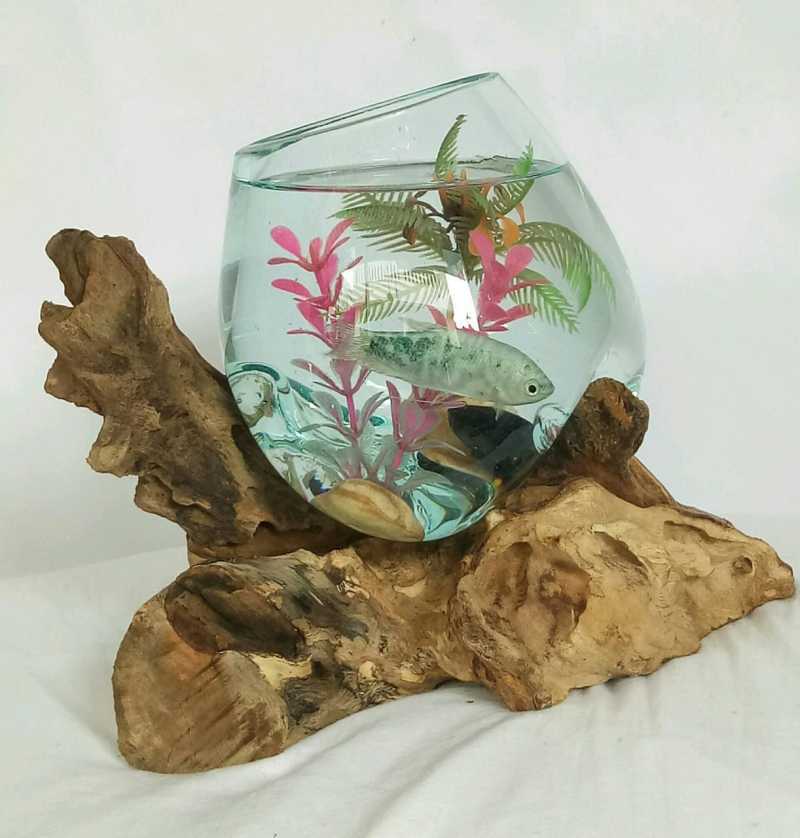 Aquarium Akar Bali Ukuran 15cm Aquarium Ikan Cupang Aquarium Vas Bunga Aquarium Kaca Aquarium Murah Akuarium Cupang Akuarium Kaca Aku Terbaru Agustus 2021 Harga Murah Kualitas Terjamin Blibli