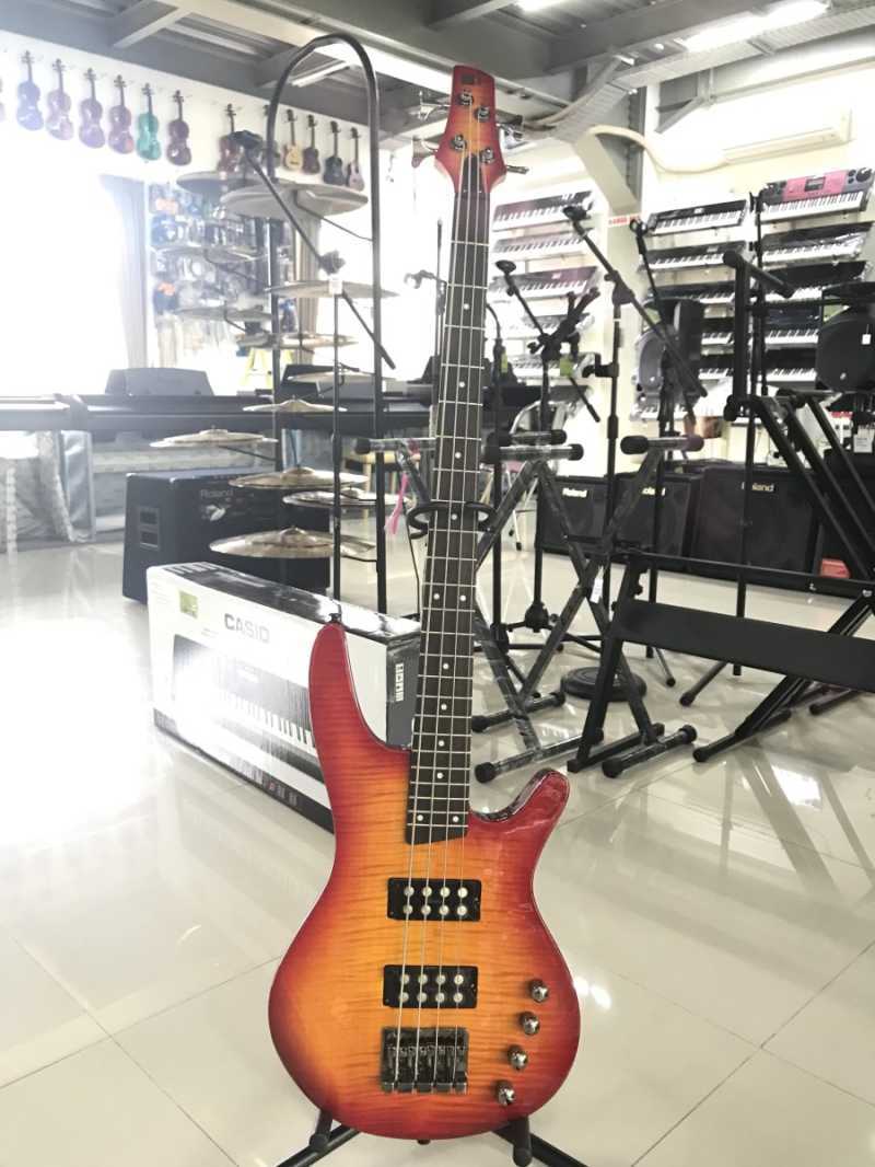 Ibanez best sale sdgr 500