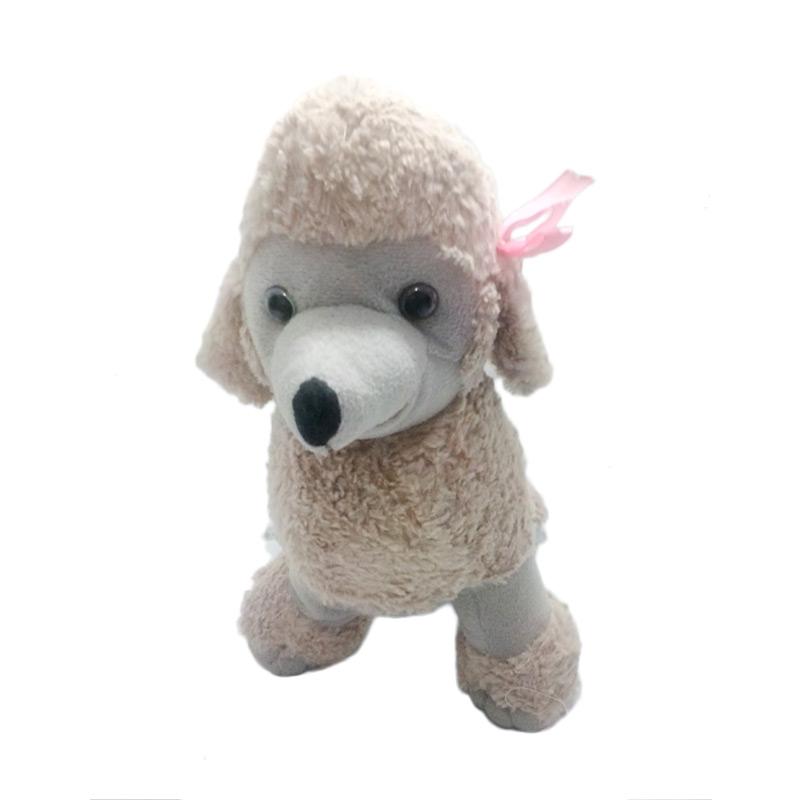 Jual Anjing Pudel Cek Harga Di Pricearea Com