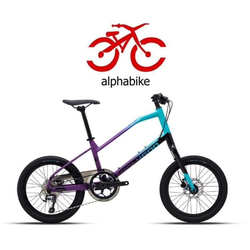 Polygon mini velo sage hot sale v3
