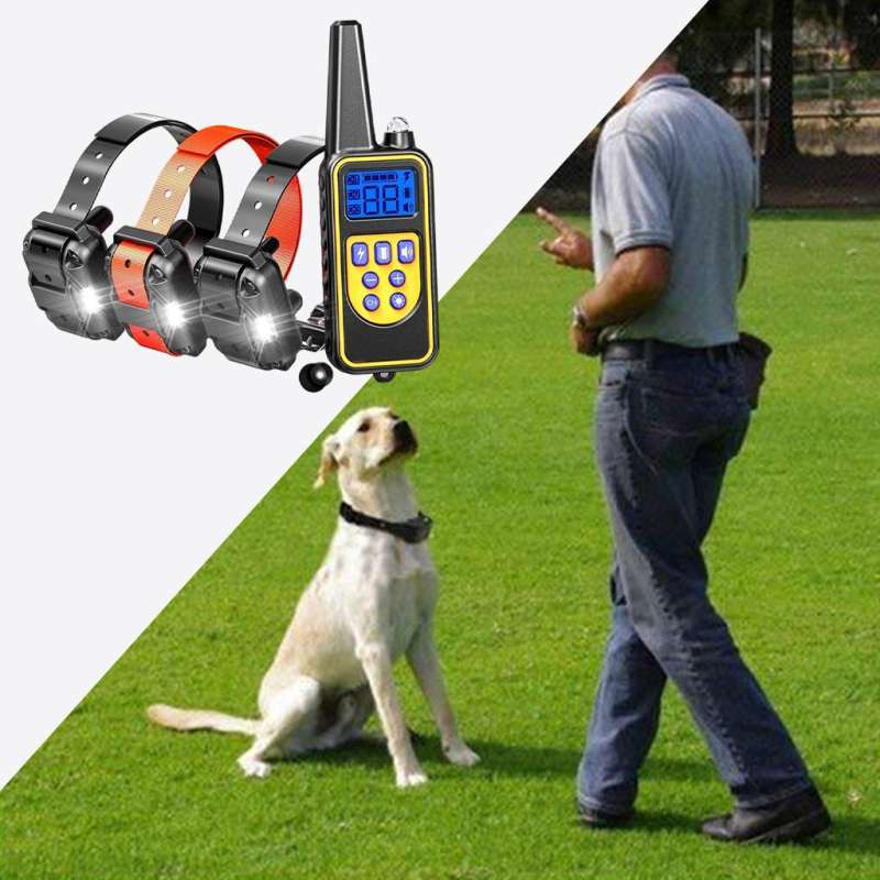 dog training remote control collar