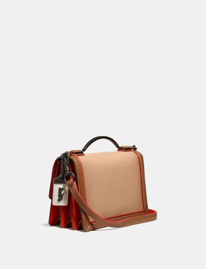 Riley top handle best sale 22 in colorblock
