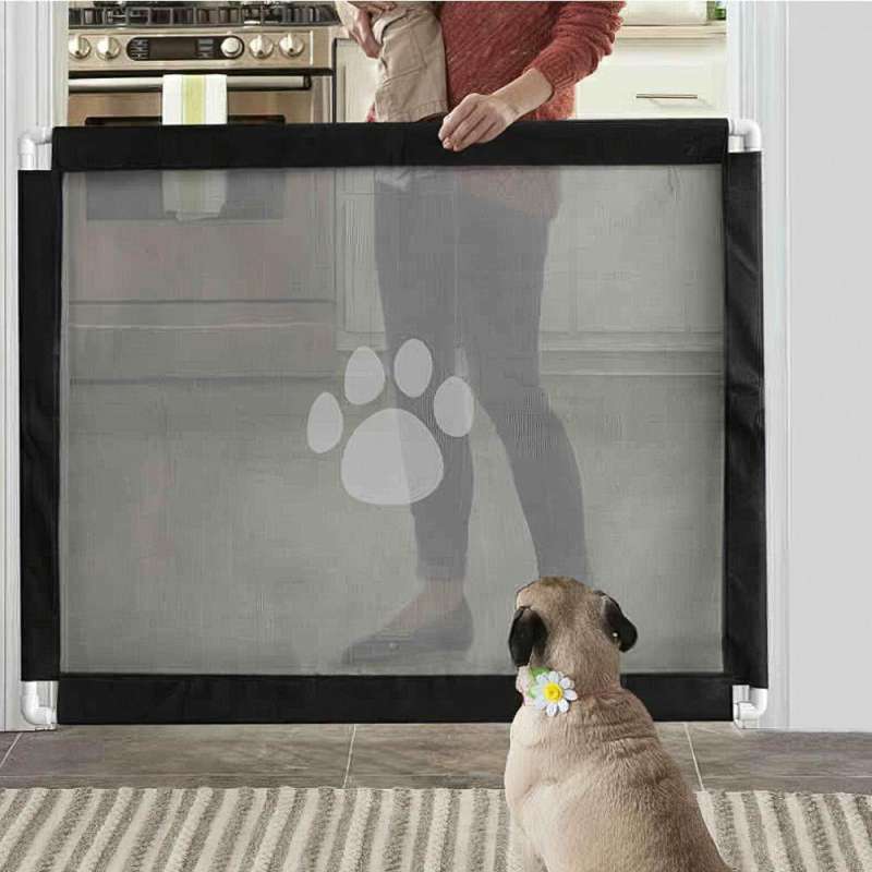Cat folding gate 2025