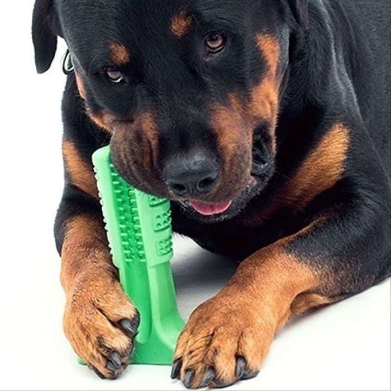 Jual ORI Sikat Gigi Anjing Dog Self Toothbrush Brushing Stick Pet