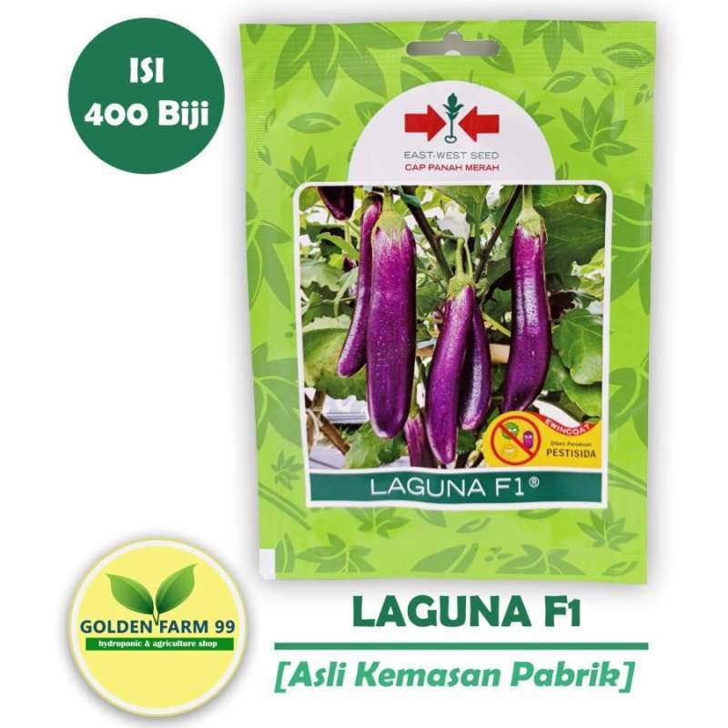 Jual Benih Terong Ungu LAGUNA F1 Cap 
