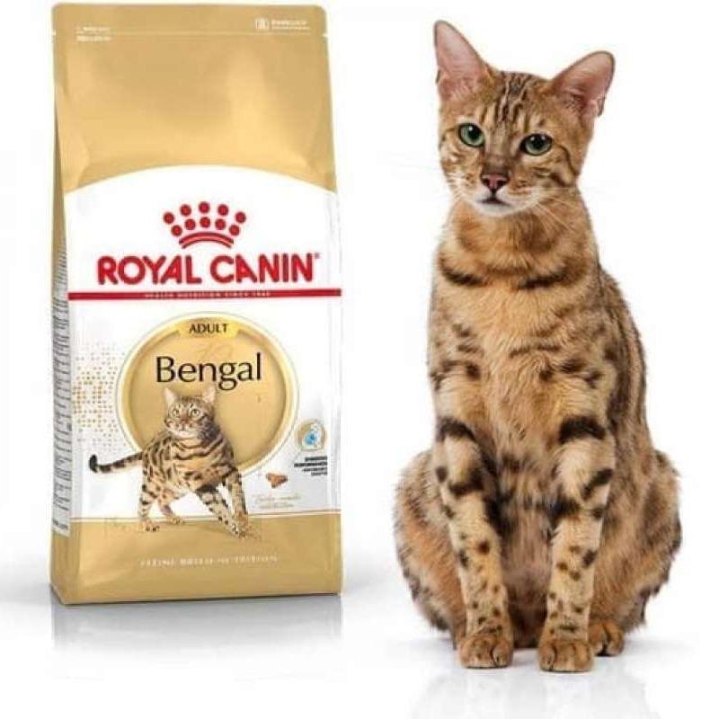 Promo Royal Canin Bengal Cat 2Kg Makanan Kering Kucing Ras Bengal