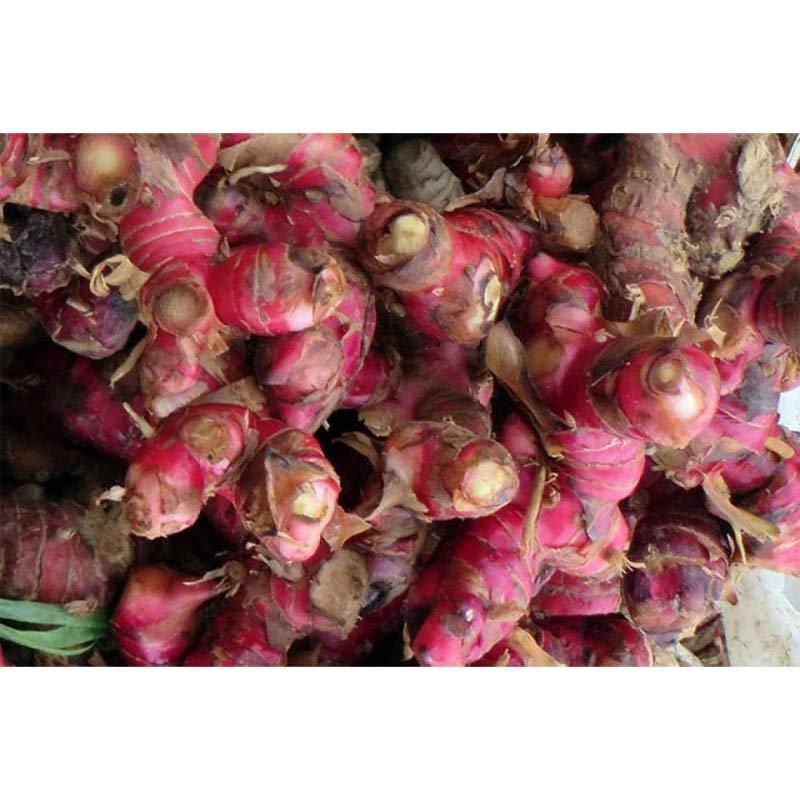 Jual Jahe Merah Original 500g Online November 2020 Blibli