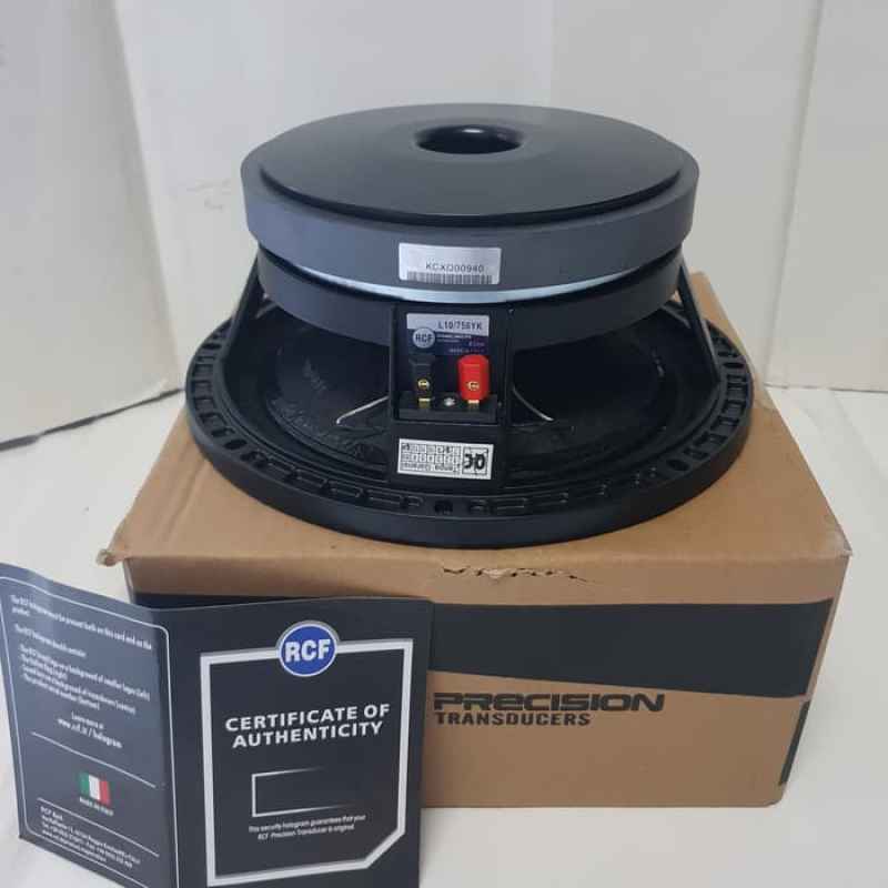 speaker 10 rcf