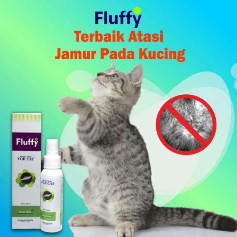 Jual Fluffy Magic Tonic For Cat Ampuh Basmi Kutu Jamur Scabies Pada Kucing Online Oktober 2020 Blibli Com