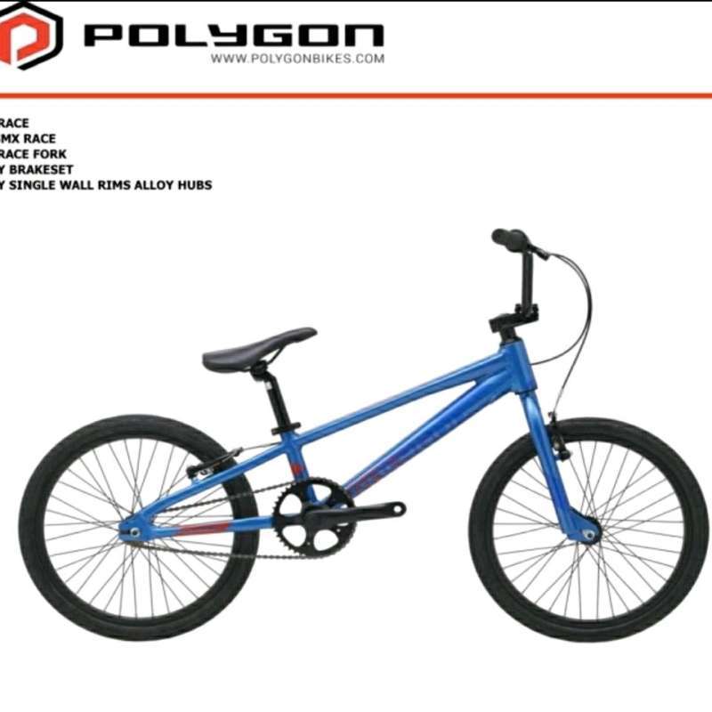 Bmx polygon sales blizzard