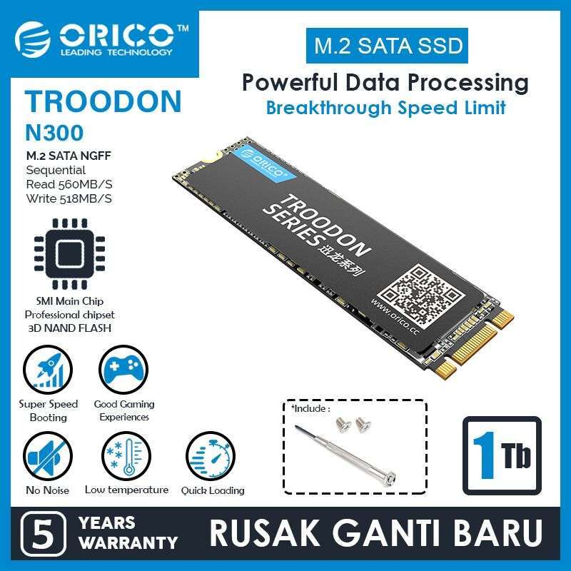 SSD interne 1 To - Série Troodon - Orico