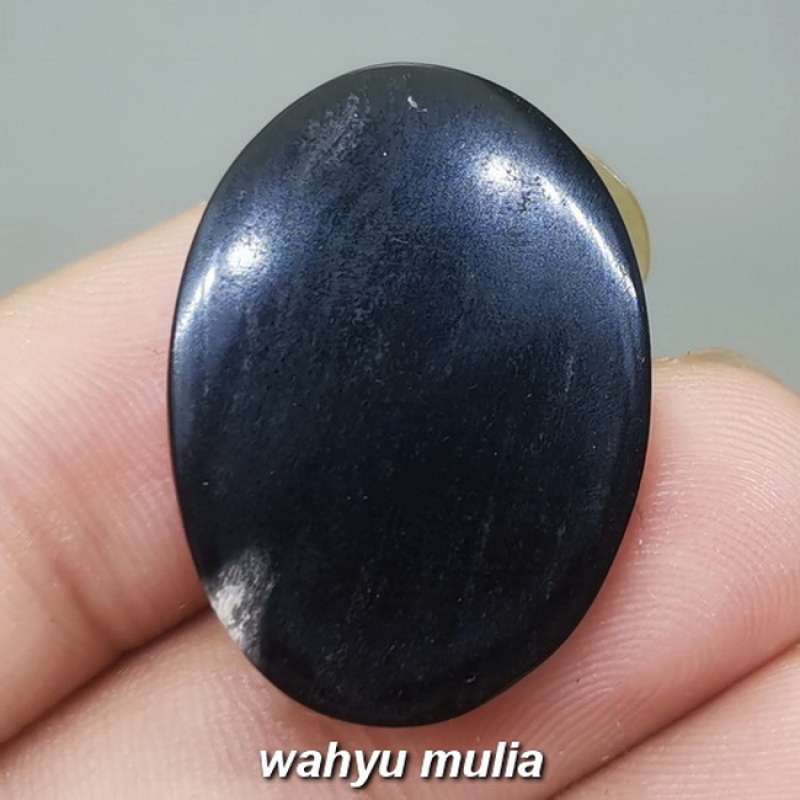 Jual Fosil Batu Akik Galih Kelor Unik Asli Kode 1960 Terbaru Juli 2021 