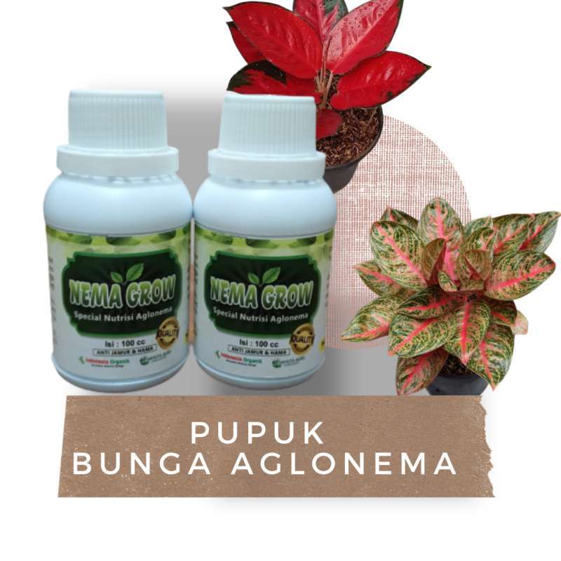 Jual Pupuk Aglonema Nema Grow Pupuk Aglonema Biar Cepat Beranak Pupuk Aglonema Alami Biar Subur Online April 2021 Blibli