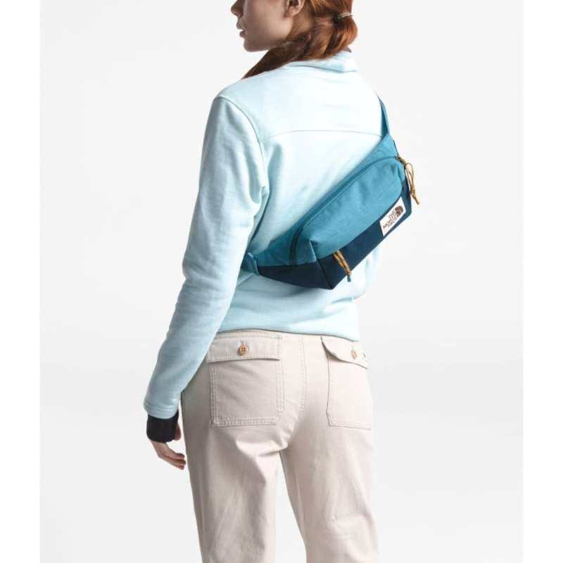 Waist bag the north top face original