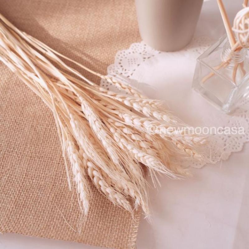 Jual Oem Natural Dried Flower Dekorasi Bunga Kering Rustic Vintage Preserved Wheat Gandum Online Februari 2021 Blibli Penggunan warna pada background pas foto ini dilakukan sebagai acuan tahun lahir pemilik foto. oem natural dried flower dekorasi bunga kering rustic vintage preserved wheat gandum