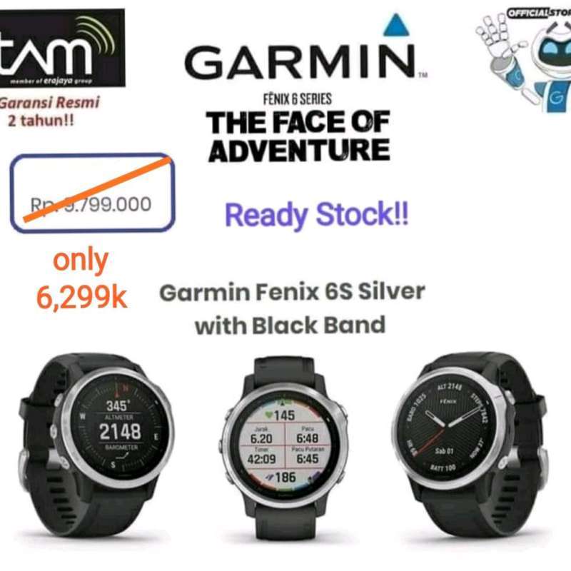 Garmin Fenix 6S Silver with Black Band