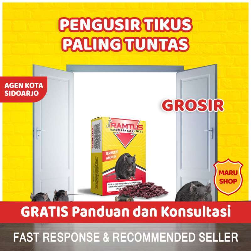 Jual Racun Tikus Mati Kering Ramtus Paling Ampuh Super Tidak Bau Original Alat Pembasmi Curut Got Mobil Rumah Siap Pakai Terbaru Juni 2021 Blibli