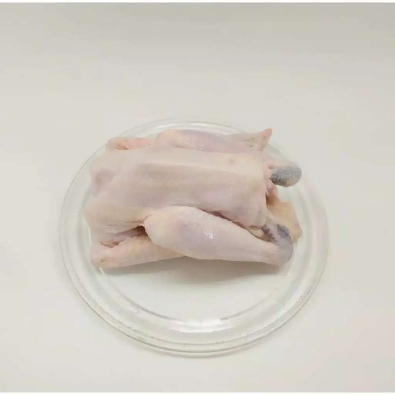Jual Ayam Kampung Fresh Ukuran 0 7 0 8 Kg Potong Dadakan Online Januari 2021 Blibli