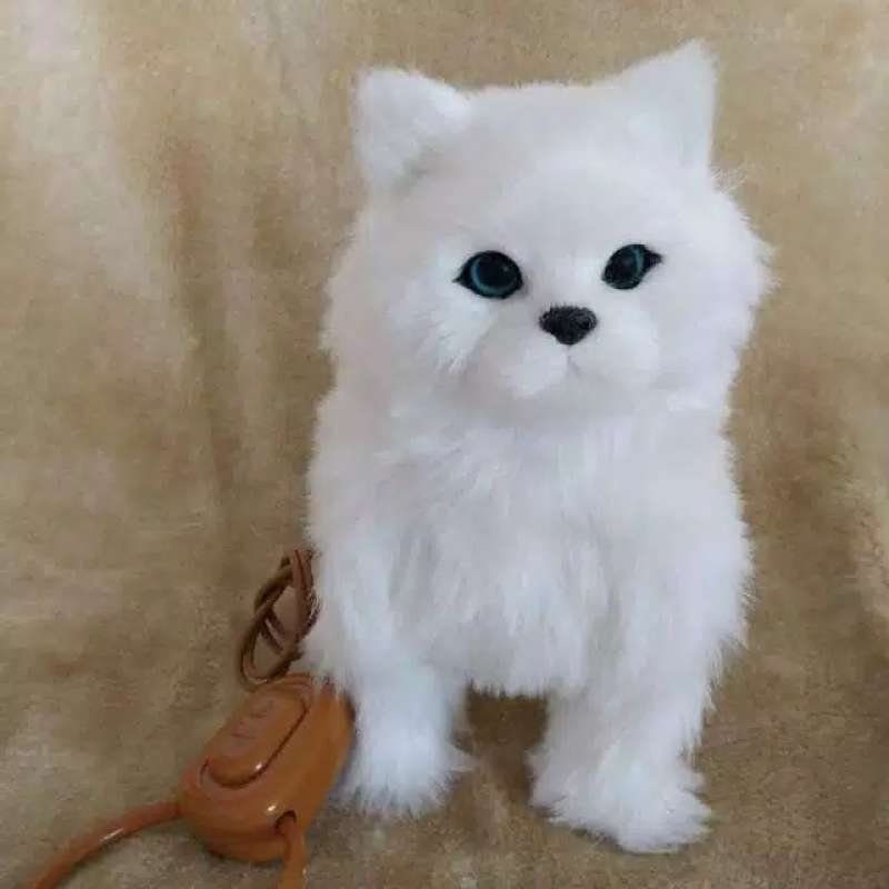Jual Boneka Kucing Bersuara Musik Dapat Bergerak Berjalan Online Januari 2021 Blibli