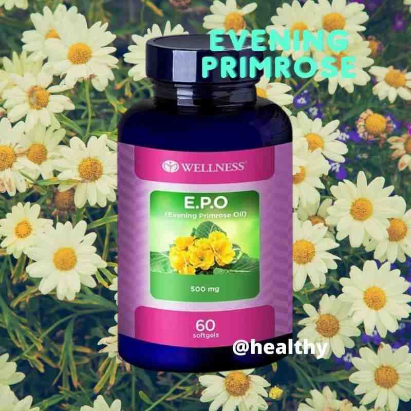 welness evening primrose oil 500 mg 60 tablet gla la ala