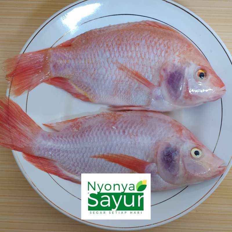 Jual Nyonya Sayur Ikan Nila Merah Segar 500 Gr Online April 2021 Blibli