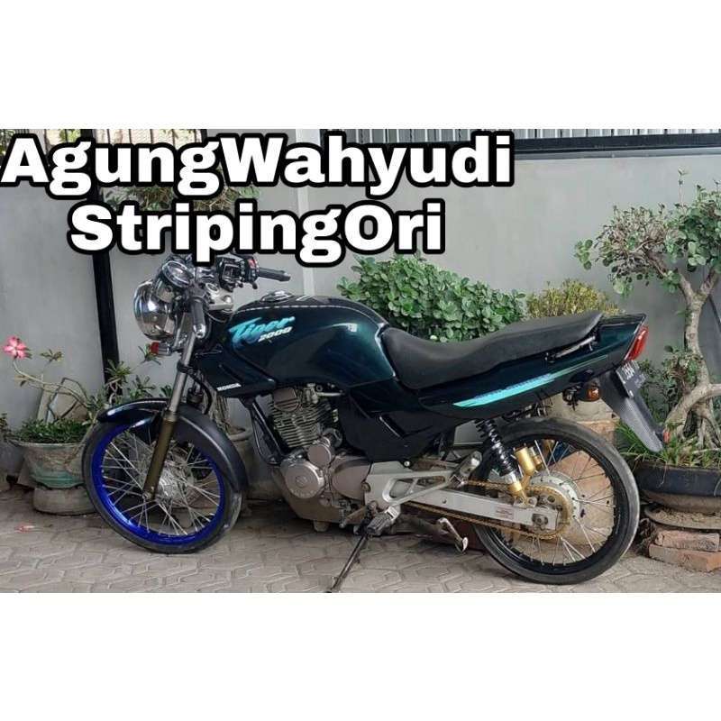 Honda tiger store cruiser