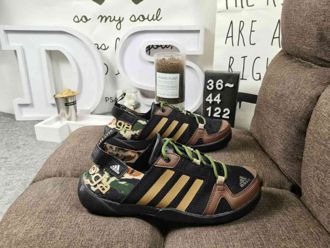 adidas terrex daroga two