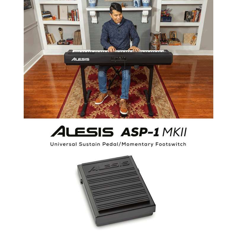 Alesis ASP-1 MKII Universal Sustain Pedal/Momentary Footswitch - inMusic  Store